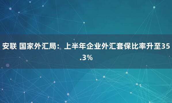 安联 国家外汇局:上半年企业外汇套保比率升至35.3%